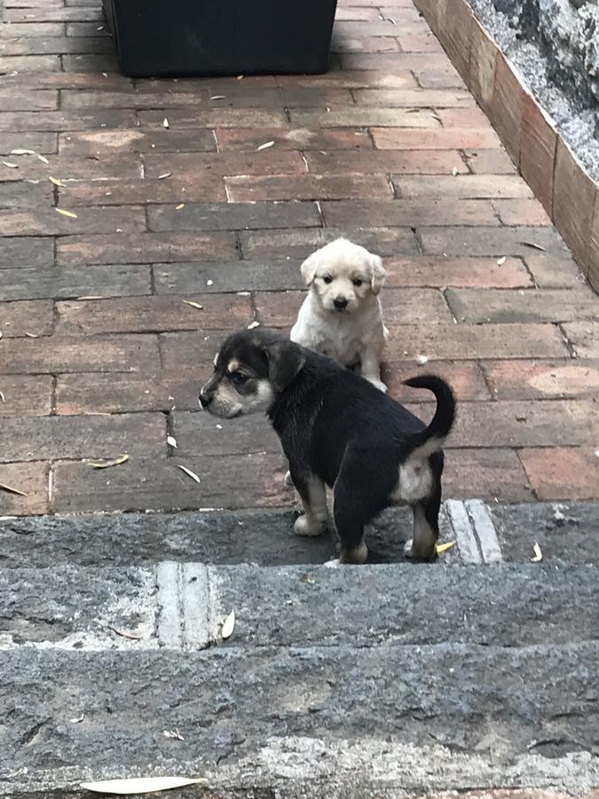卡拉塔比亚诺Borgo San Biagio别墅 外观 照片